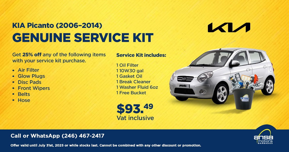 Kia Picanto Service Kit